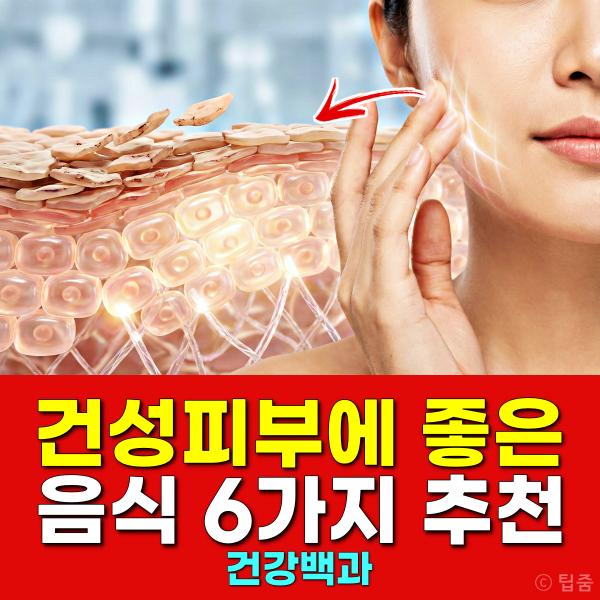 건성피부 좋은 음식