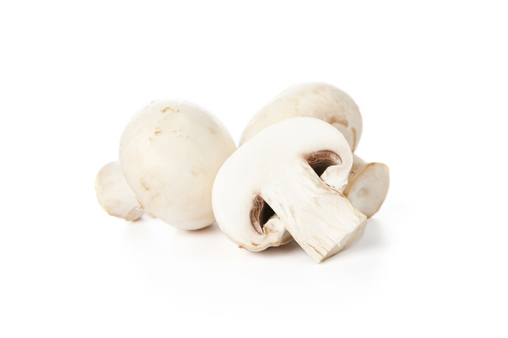 땅위의 고기라 불리는 버섯의 종류에 대해 알아보기