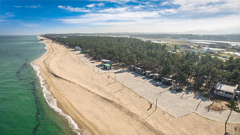 연곡해변 솔향기캠핑장
