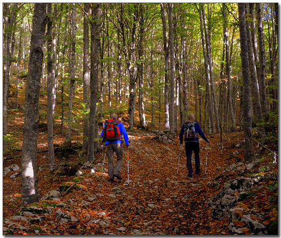 ๋
ธ๋ฅด๋์ํน ๋ฑ์ฐ