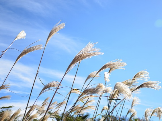제주도 서쪽 여행지 추천