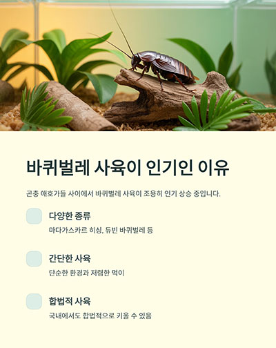 바퀴벌레를 왜 키울까