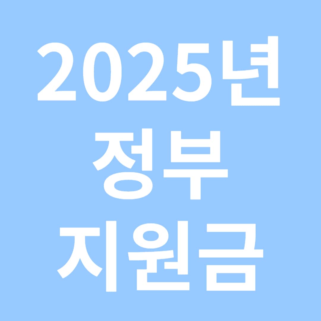 2025년 정부지원금
