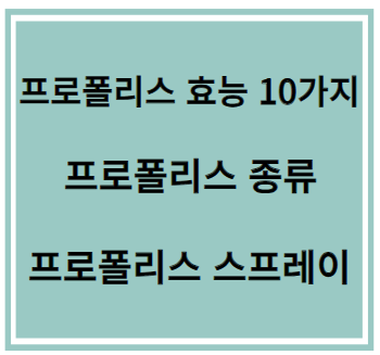 프로폴리스