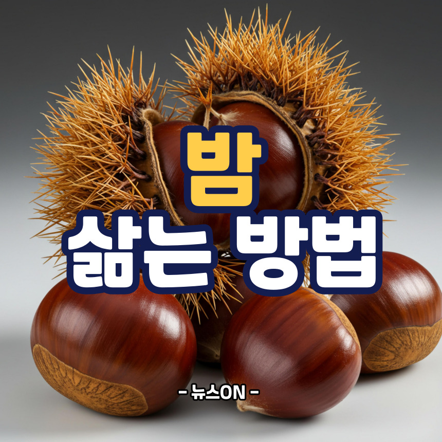밤 삶는 방법