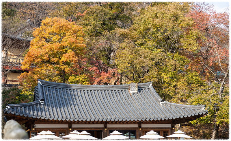단풍명소