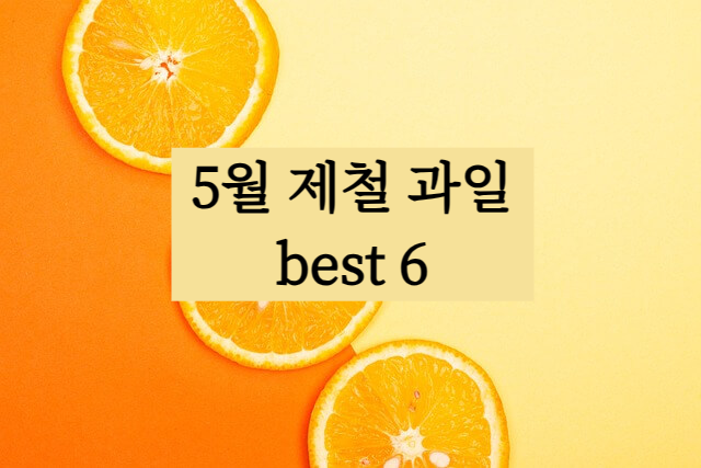 5월 제철 과일
