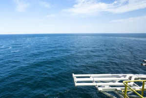 대왕고래 이어 마귀상어 관련주 정리