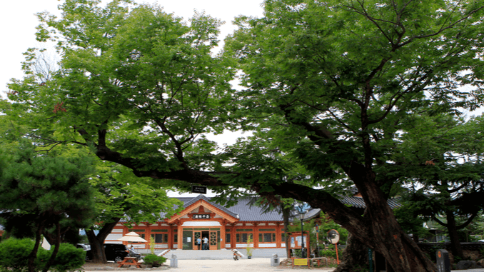 담양 가볼만한곳 베스트10