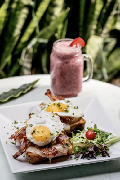 다이어트 도시락