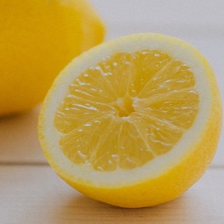 레몬즙