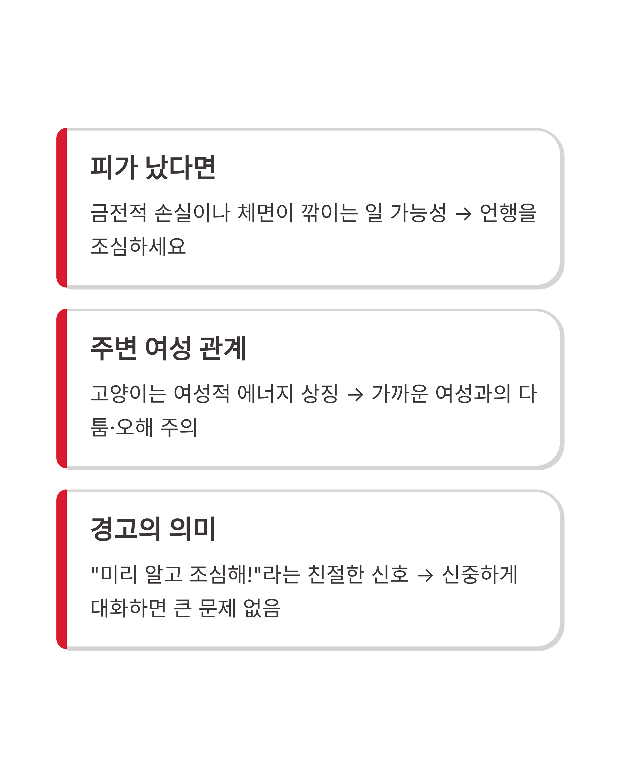 고양이 꿈 해몽 ❘ 할퀴는 검은 고양이 새끼 고양이까지? 행운과 경고의 미묘한 차이 완벽 가이드