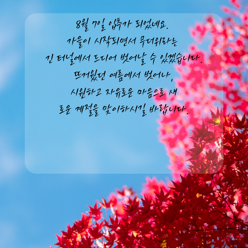 8월7일 입추 인사말 문구 이미지 모음