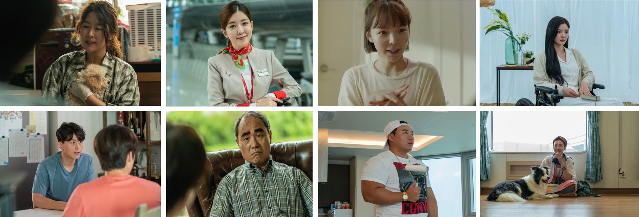 멍뭉이 영화 정보 관전 포인트 인터뷰 정리