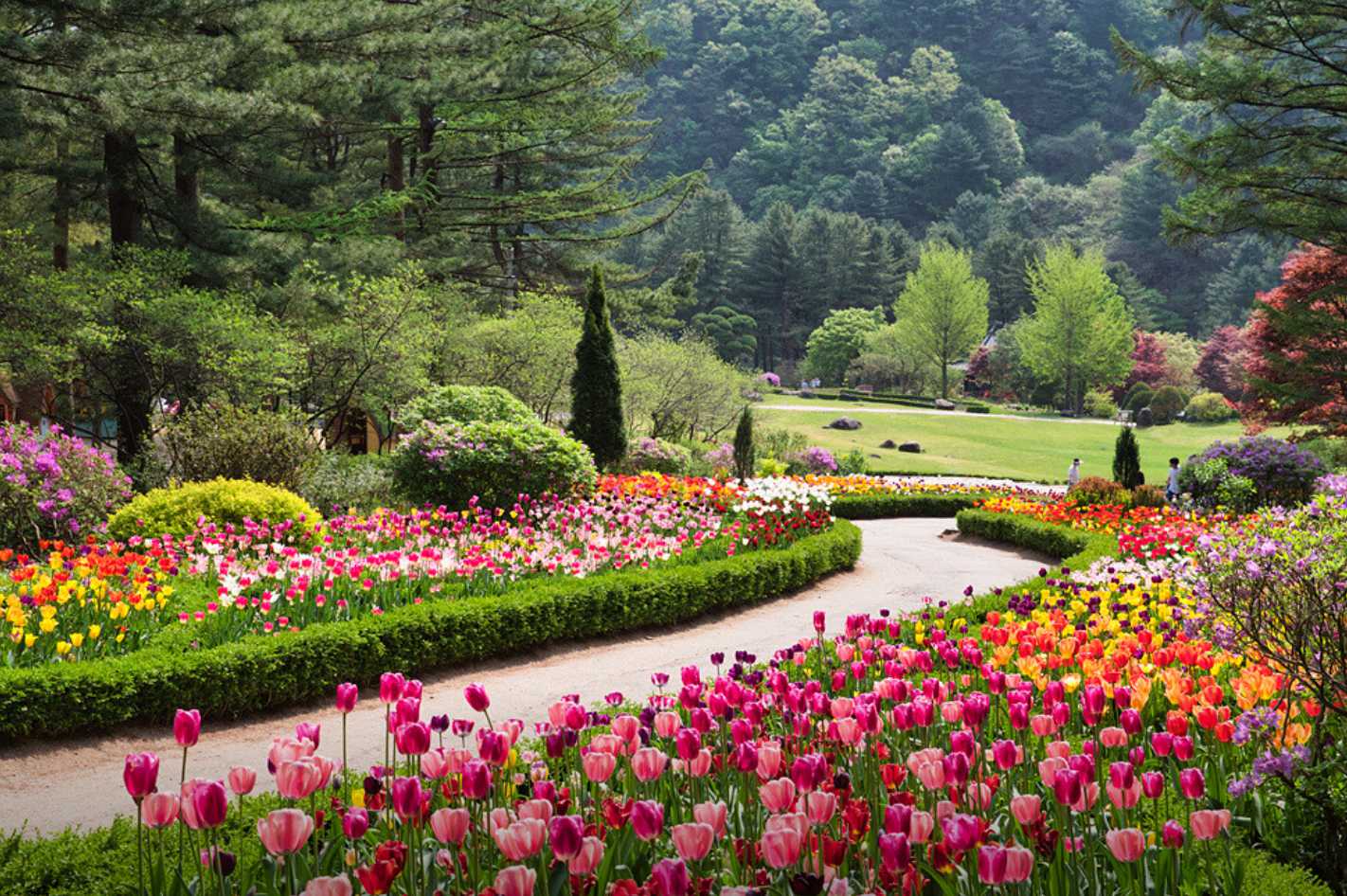 아침고요수목원