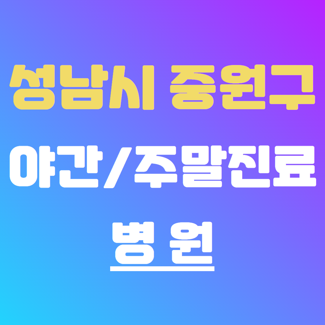 성남시 중원구 야간 주말 매일 진료 병원