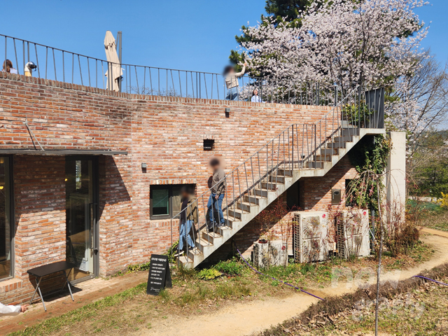 충남-당진-피어라-카페