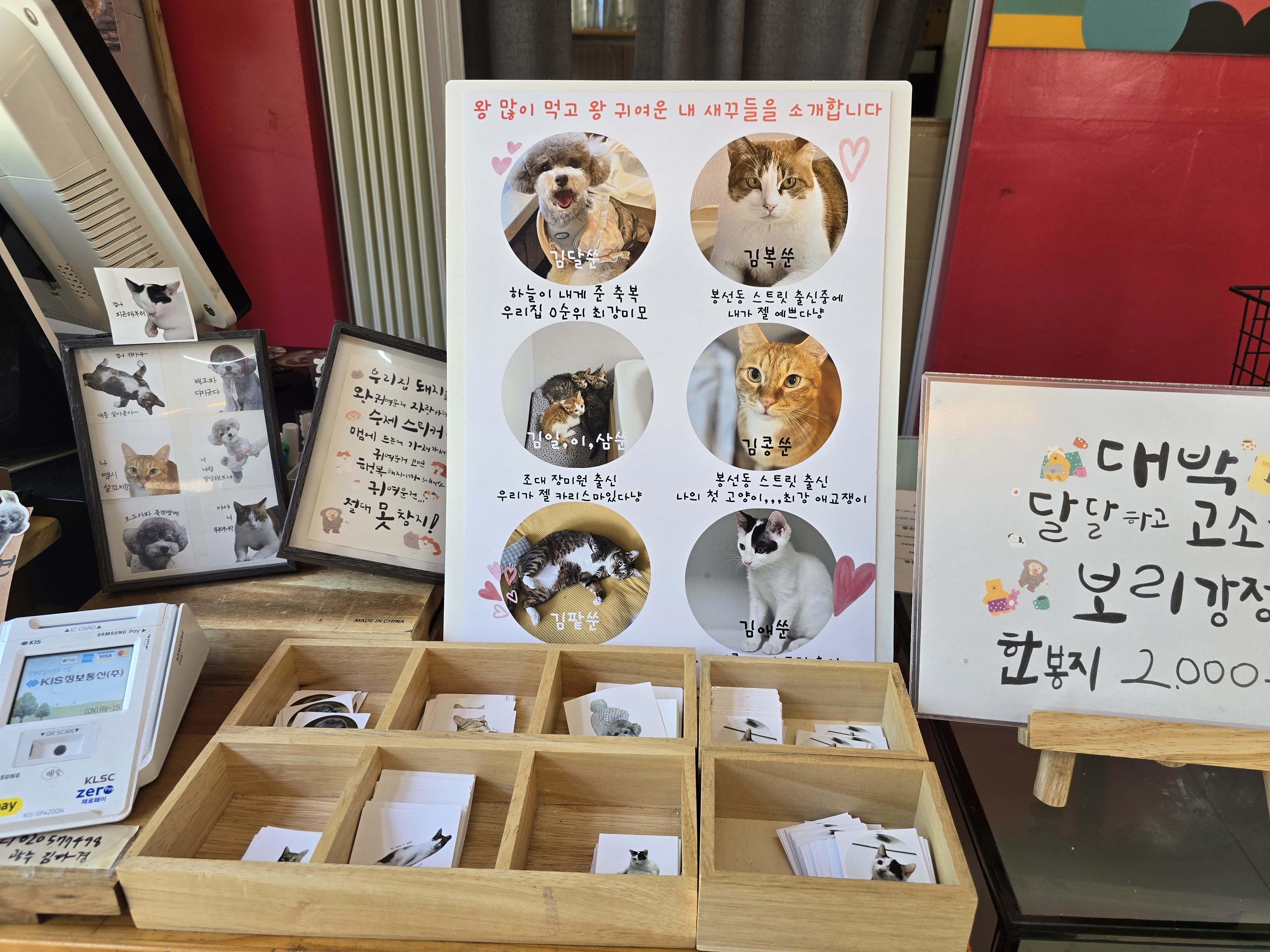 반려견 반려묘 스티커