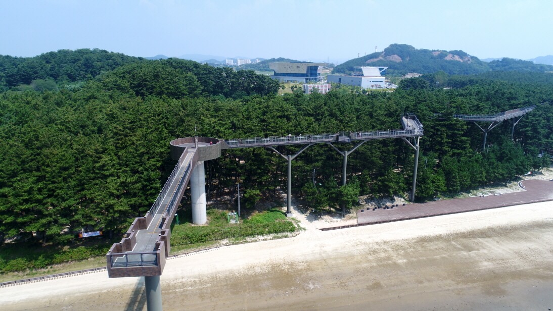 서천 장항 송림산림욕장 스카이워크