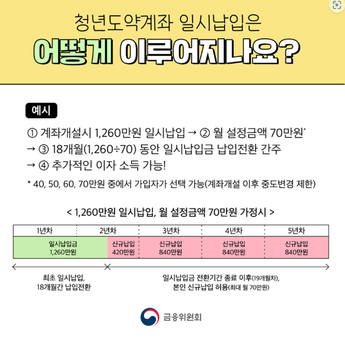 청년도약계좌 일시납입
