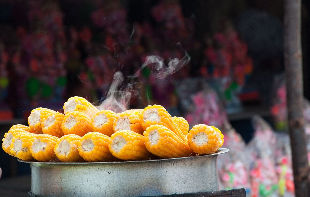 옥수수 보관방법