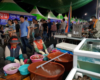 삼천포 전어축제 일정_1