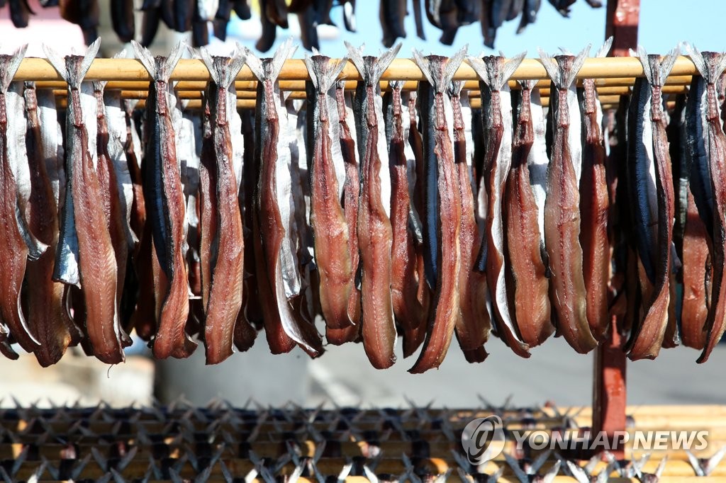 과메기를-말리는-모습