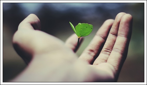 차상위계층 확인방법 의료혜택