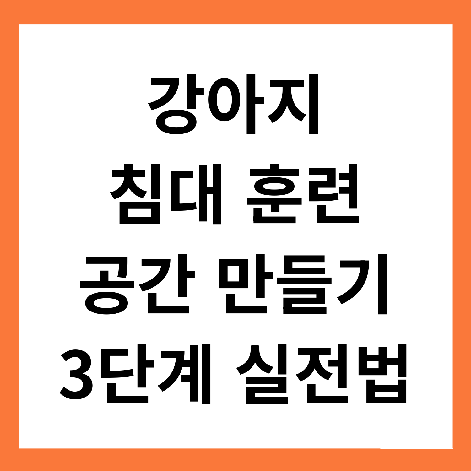강아지 침대 훈련: 자기 공간 만들기 3단계 실전법