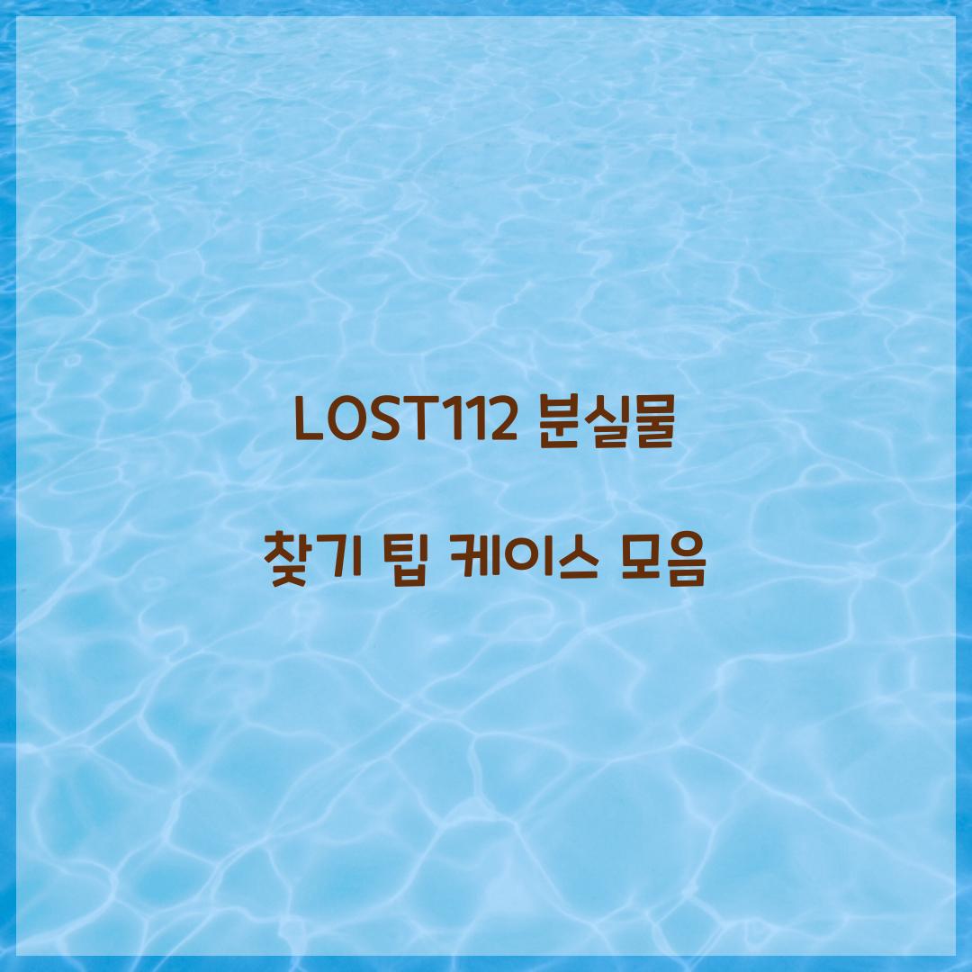 LOST112 분실물 찾기
