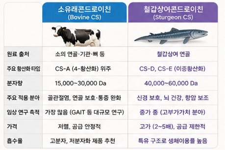 소유래콘드로이친이란-효과-뜻-성분-복용법-철갑상어콘드로이친