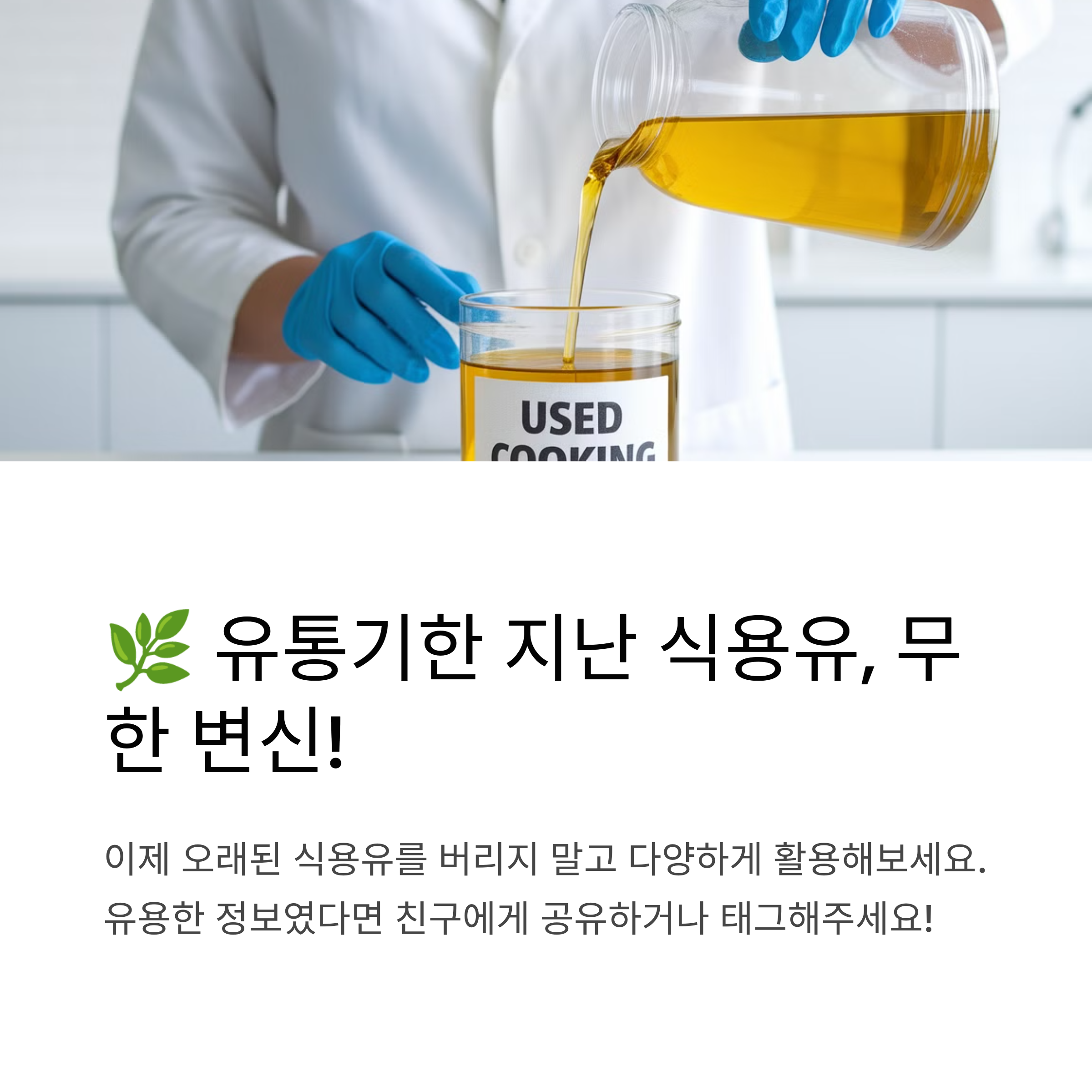 유통기한 지난 식용유, 무한 변신