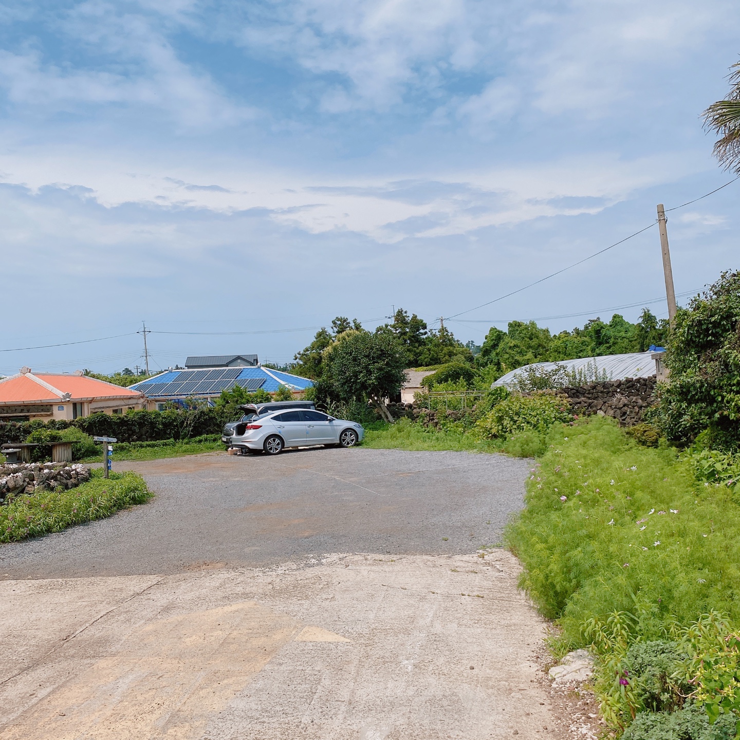 제주 금오름 오드리카페