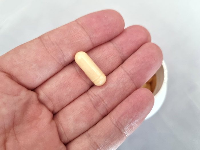 루테인 알약 크기