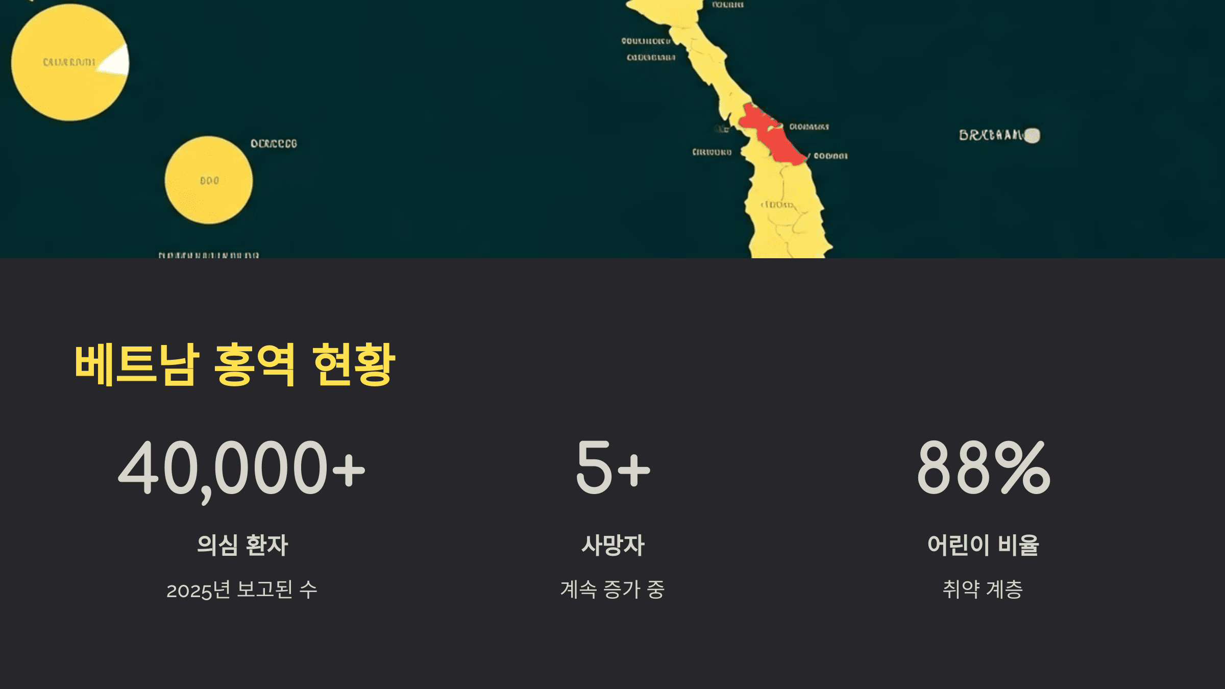 베트남 홍역 증상