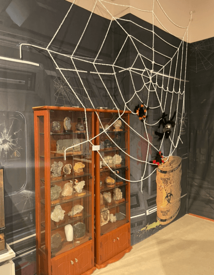 여주곤충박물관