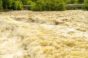 대통령
대통령의책임
자연재해
국가재난
국가재난선포