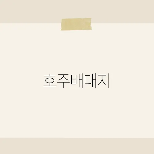 호주배대지, 배송비 0원 만든 초간단 우회법?