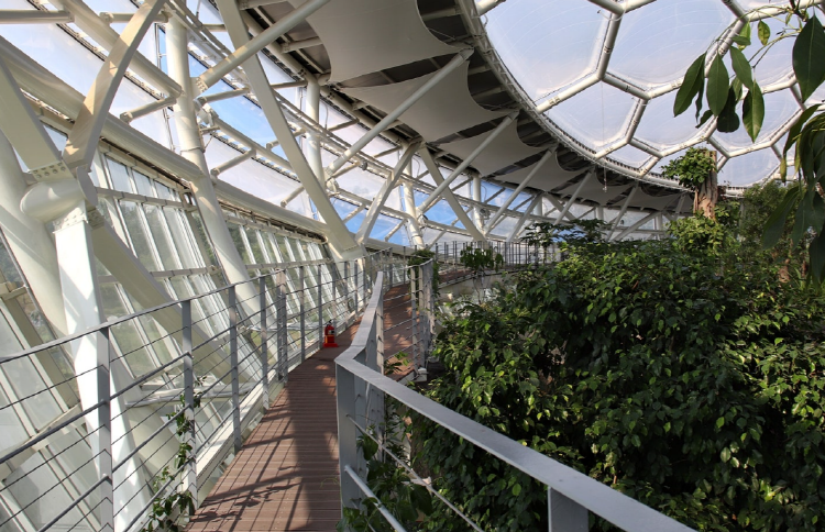 부천호수식물원 수피아