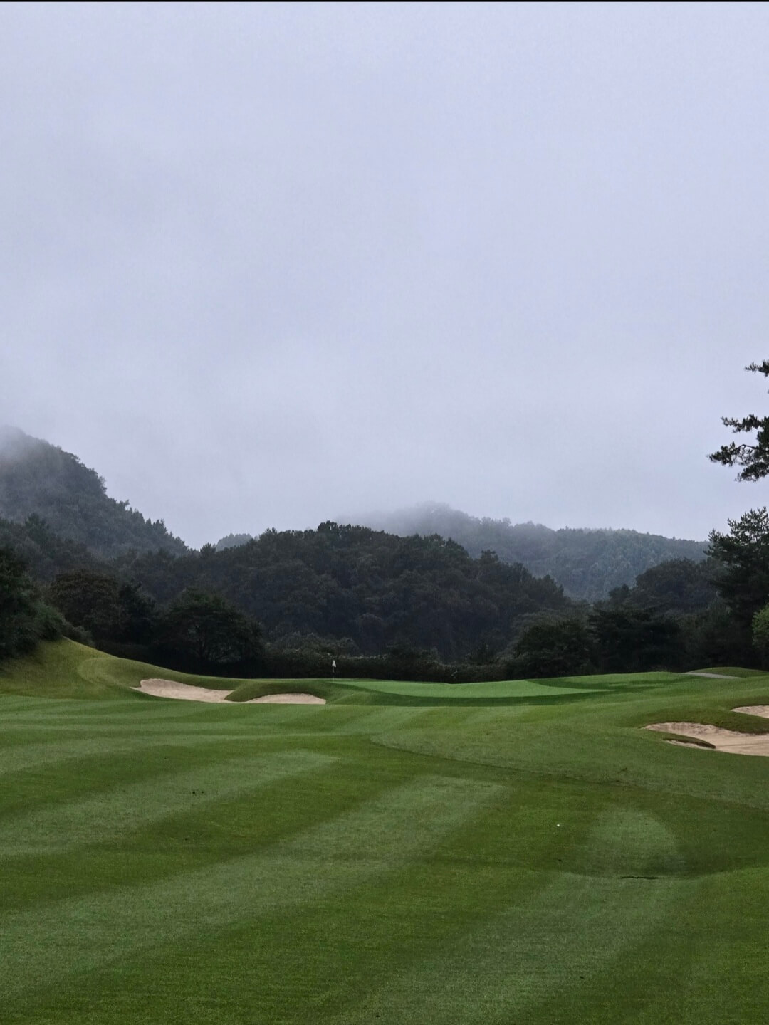남춘천cc 빅토리코스 그린주변