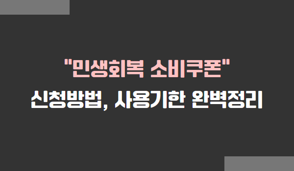 민생회복 소비쿠폰 신청방법, 사용기한, 사용처, 국민비서