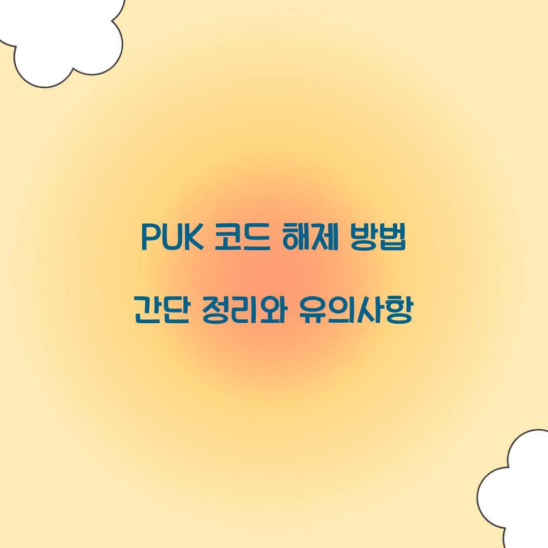 PUK 코드 해제 방법