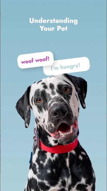 언어 번역기 앱, 실시간 채팅 번역, 모두를 위한 채팅 번역기