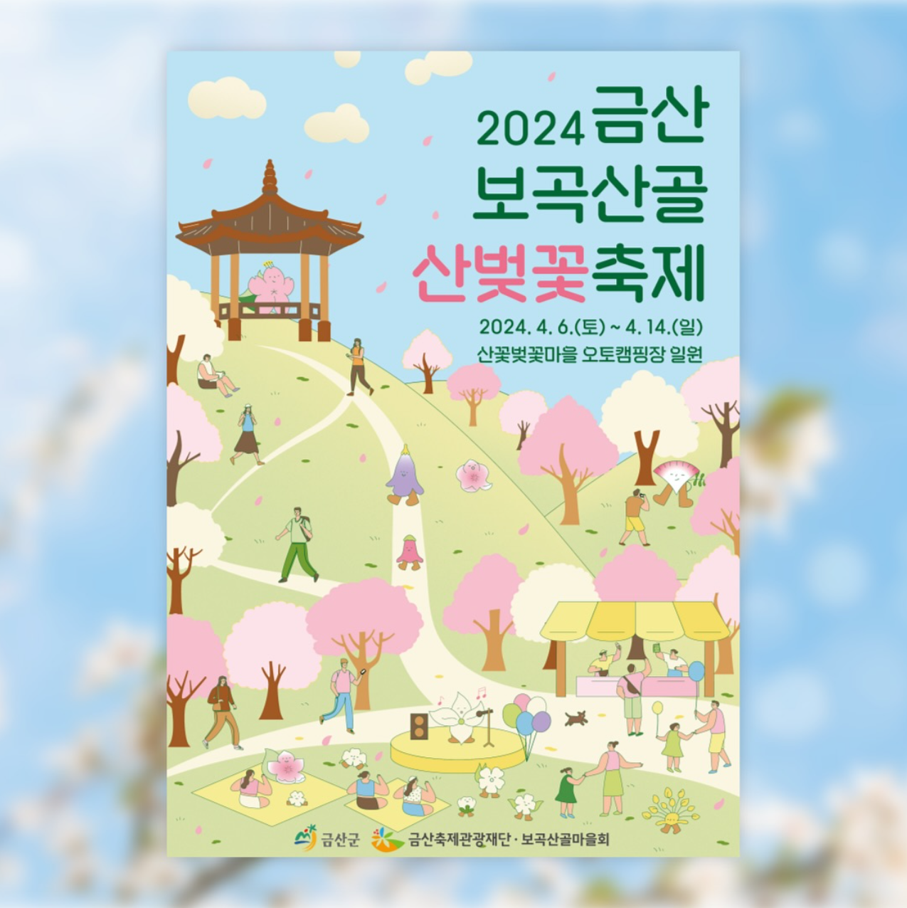 금산 보곡산골 산벚꽃 축제