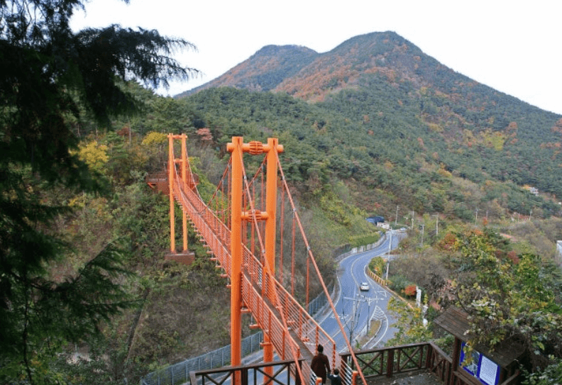 마금산온천다리