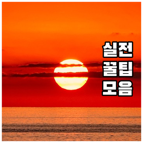 울산 울주군 2025 정신질환 치료비..