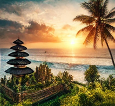 발리-전자세관신고서