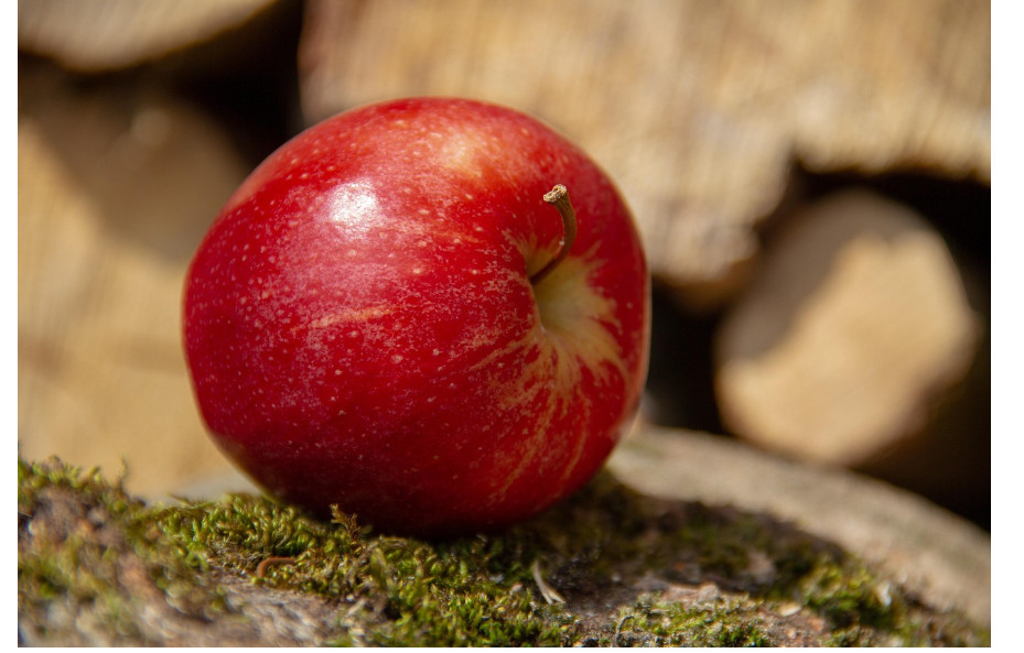 의사들이 말하는 철분제 복용 타이밍