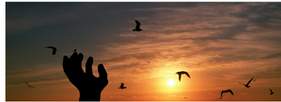 호미곶한민족해맞이축전 프로그램 소개