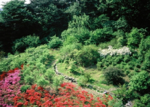 홍릉수목원